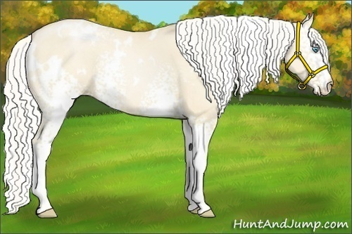 Horse Color:White Spotted Silver Smoky Grullo Pearl 