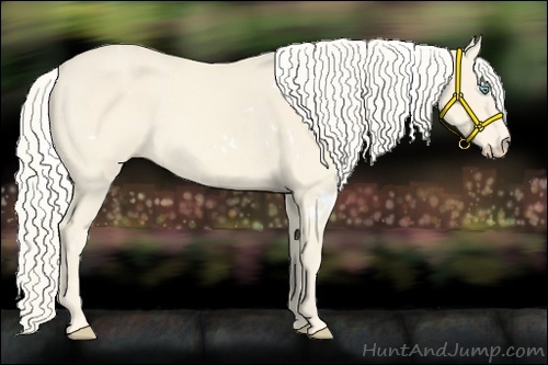 Horse Color:White Spotted Cremello Sabino 