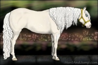 Horse Color:White Spotted Cremello Sabino