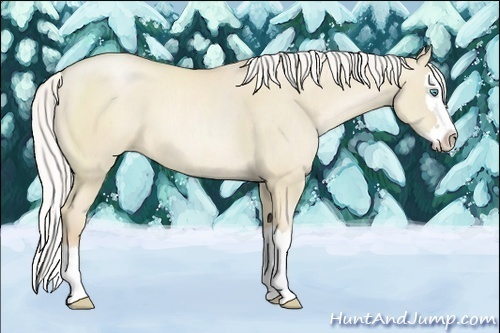Horse Color:Silver Smoky Grullo Roan Pearl Sabino Splash 