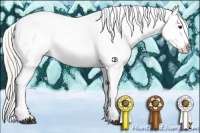 Horse Color:Silver Buckskin Appaloosa 