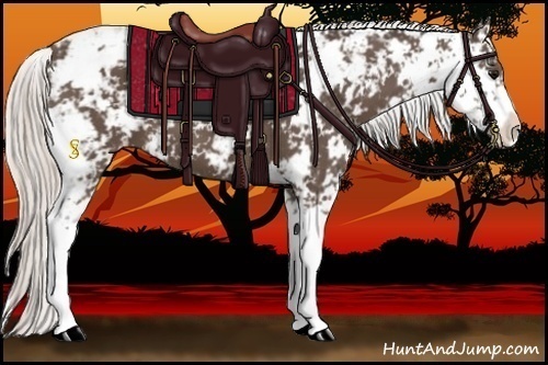 Horse Color:Silver Black Sabino 