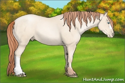 Horse Color:Amber Cream Champagne Pearl