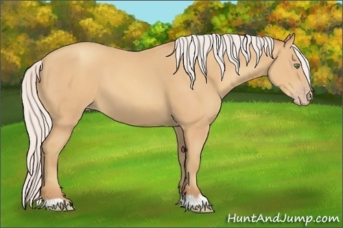 Horse Color:Silver Amber Champagne 