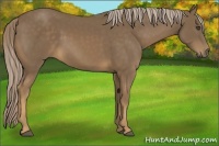 Horse Color:Chocolate Palomino Frame