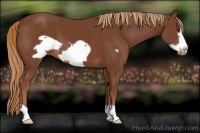 Horse Color:Chestnut Frame 