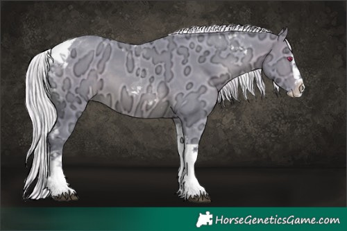 Horse Color:Watercolor Chocolate Silver Brown Chinchilla Ice Splash Tobiano 
