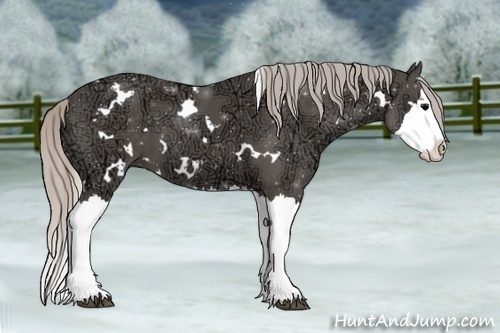 Horse Color:White Spotted Silver Black Ice Splash