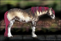 Horse Color:Painted White Spotted Silver Brown Onyx Rabicano  and Painted White Spotted Brown Onyx Frame Rabicano 