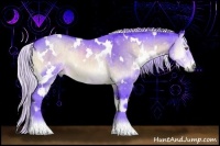 Horse Color:Watercolor White Spotted Silver Brown Chinchilla Onyx Sabino Brindle and Watercolor White Spotted Silver Brown Chinchilla Onyx Sabino Rabicano Brindle