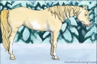 Horse Color:Chestnut Splash 