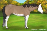 Horse Color:Bay Roan Dun Splash