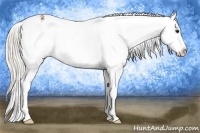 Horse Color:Silver Buckskin Snowflake Varnish 