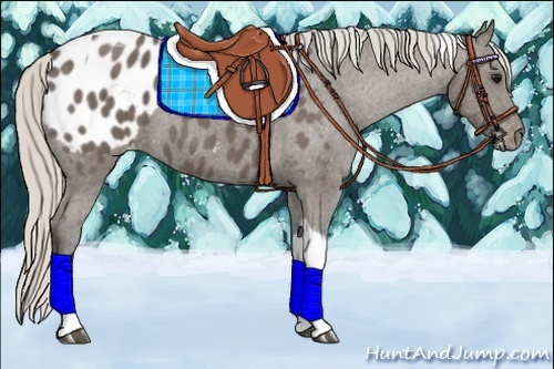 Horse Color:Silver Black Tobiano Blanket 