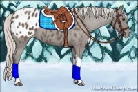 Horse Color:Silver Black Tobiano Appaloosa 