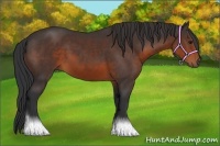 Horse Color:Brown 