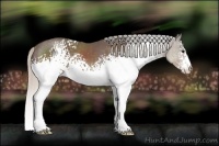 Horse Color:White Spotted Silver Black Sabino 