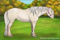 Horse Color:Silver Buckskin Pearl Dun Sabino