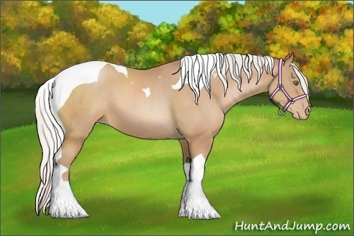 Horse Color:Silver Bay Pearl Sabino Tobiano