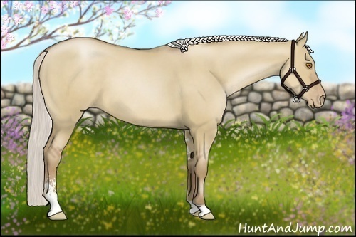 Horse Color:Silver Grullo Pearl Sabino 