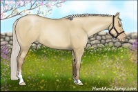 Horse Color:Silver Grullo Pearl Sabino
