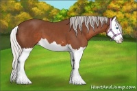Horse Color:Silver Brown Sabino Splash 