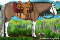 Horse Color:Buckskin Splash 