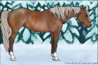 Horse Color:Silver Bay Rabicano 