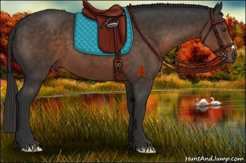 Horse Color:Liver Chestnut 