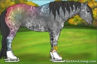 Horse Color:Smoky Black Ice 