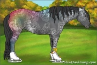 Horse Color:Black Ice
