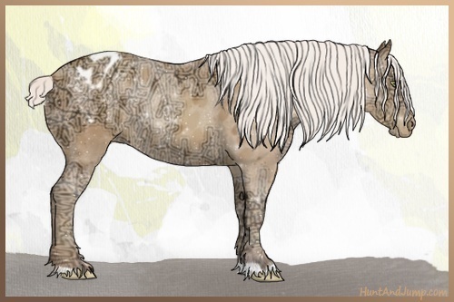 Horse Color:Silver Sable Champagne Ice Blanket 