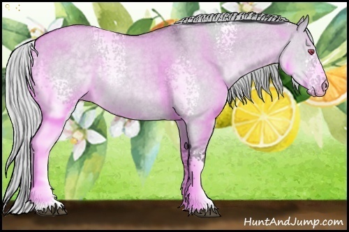 Horse Color:White Spotted Silver Grullo Chinchilla Roan