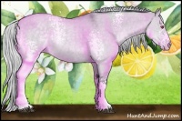 Horse Color:White Spotted Silver Grullo Chinchilla Roan 