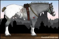 Horse Color:White Spotted Smoky Black Chinchilla Appaloosa 