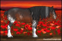 Horse Color:White Spotted Brown Tobiano