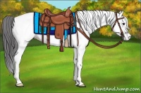 Horse Color:White Spotted Black Appaloosa Rabicano 