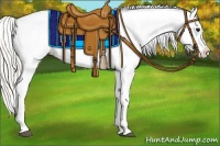 Horse Color:White Spotted Silver Smoky Black Appaloosa