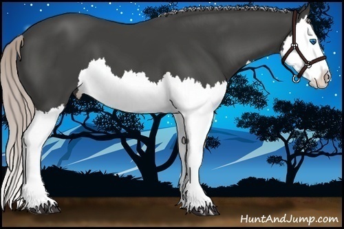 Horse Color:Silver Black Splash 