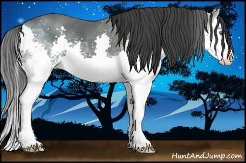 Horse Color:Black Ice Splash 