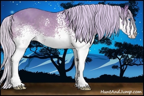 Horse Color:Watercolor White Spotted Silver Bay Splash 