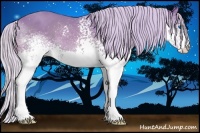Horse Color:Watercolor White Spotted Silver Bay Splash 