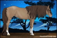 Horse Color:Classic Champagne Tobiano 