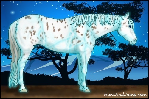 Horse Color:Thunderstruck Bay Splash Near Leopard 