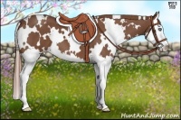 Horse Color:White Spotted Red Roan Splash