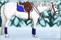 Horse Color:Silver Grullo Sabino Splash Frame Appaloosa