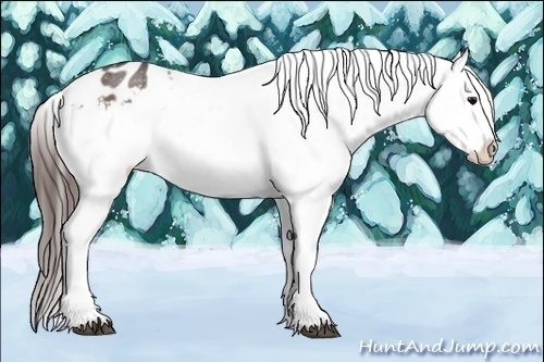 Horse Color:Brown Roan Blanket 