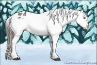 Horse Color:Brown Roan Blanket