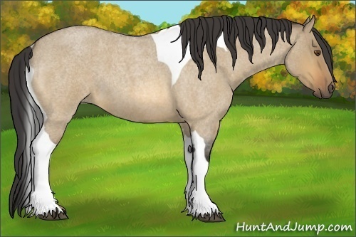 Horse Color:Buckskin Roan Dun Tobiano