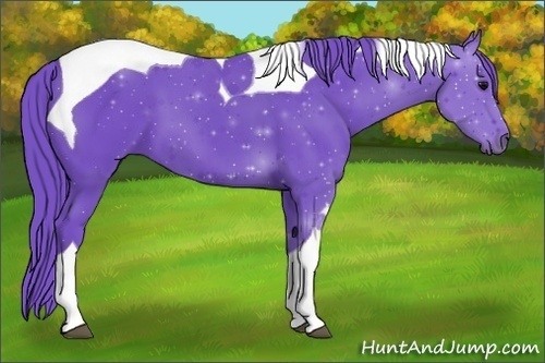Horse Color:Watercolor Black Tobiano 